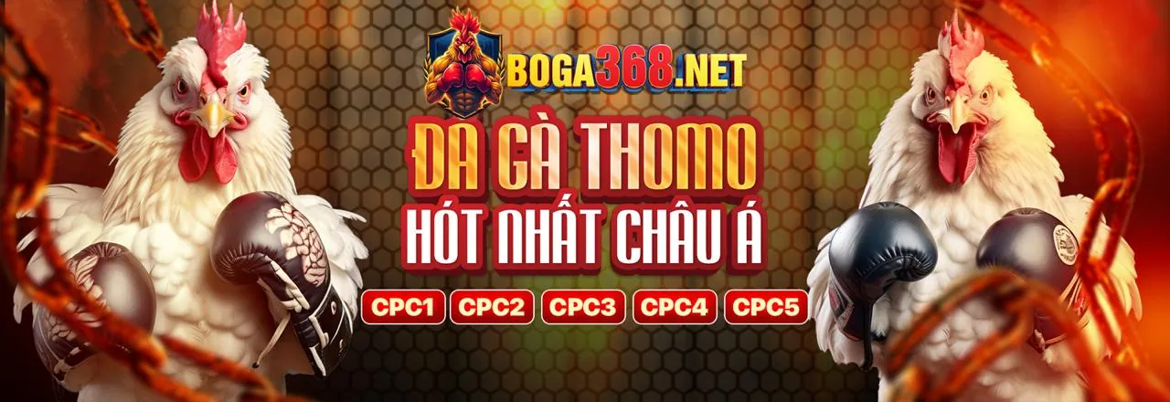 Đá gà trực tuyến kịch tính tại hy88 nổ hũ với các chiến kê dũng mãnh
